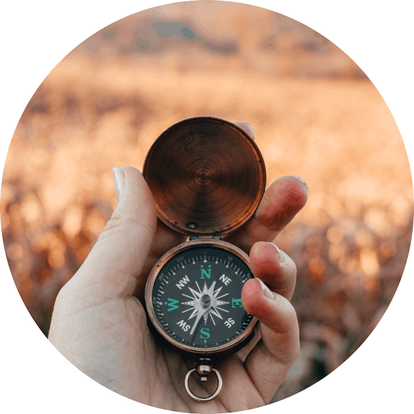energetisch morfologische bloedtest 1 compass